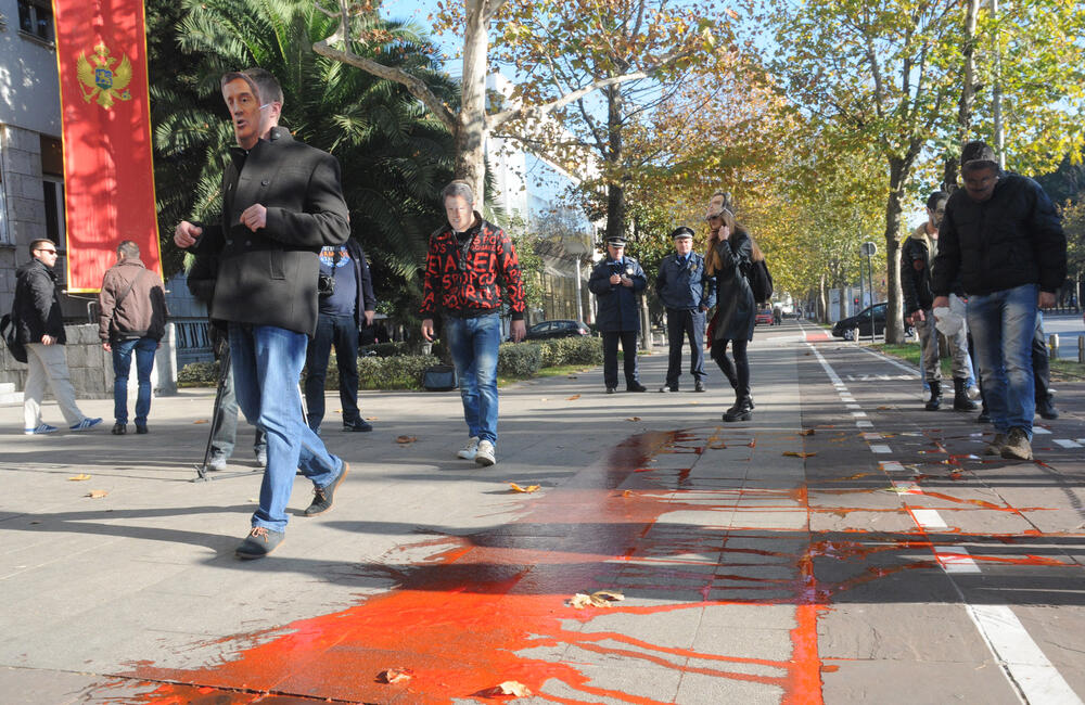 Mladi NOVA performans