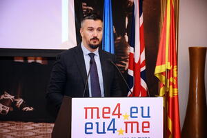Pejović: EU kroz Ipu pružila dragocjenu podršku Crnoj Gori u...