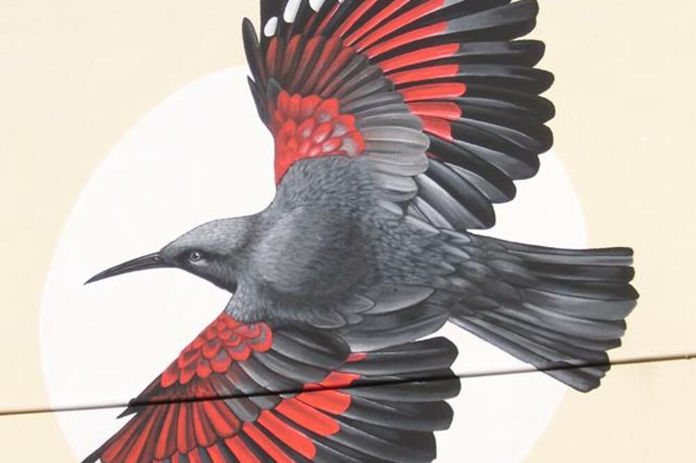 Mural, KIC, Foto: KIC Budo Tomović