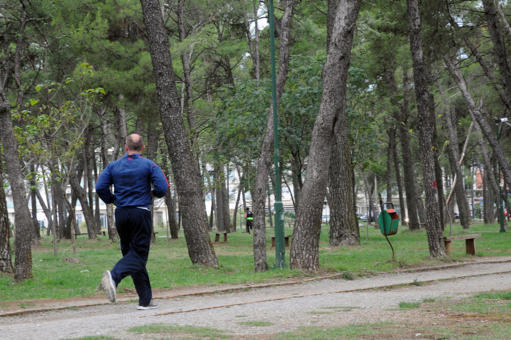Tološka šuma, Foto: Luka Zeković