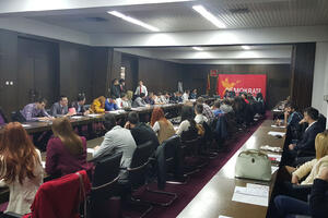 Mlade Demokrate izabrale potpredsjednike, sekretara, portparolku i...