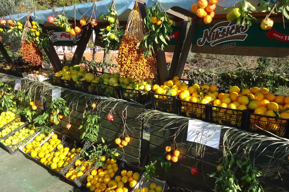 Maslinijada u Baru, Foto: Radomir Petrić