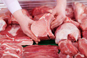 Organizuju radionice o geografskoj zaštiti proizvoda od mesa