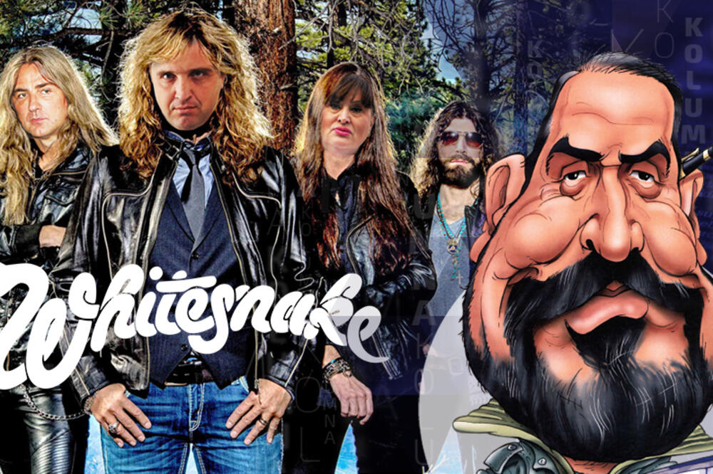 Draža Petrović whitesnake, Foto: N1