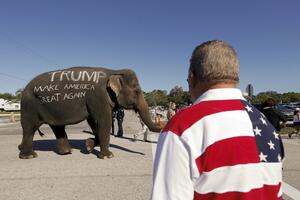 Tramp živog slona koristio kao bilbord