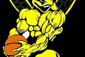 Stršljen bolji od Jedinstva