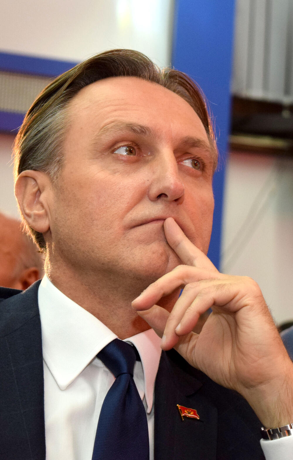 SDP, ranko Krivokapić