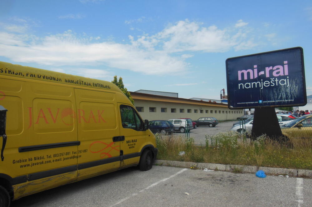 Javorak, Foto: Svetlana Mandić