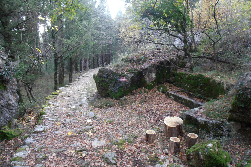 Kotobiljski izvor, Foto: Slavica Kosić