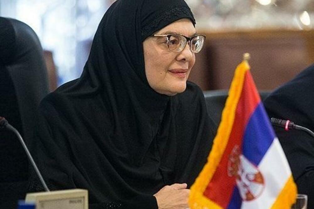 Maja Gojković, Foto: Twitter