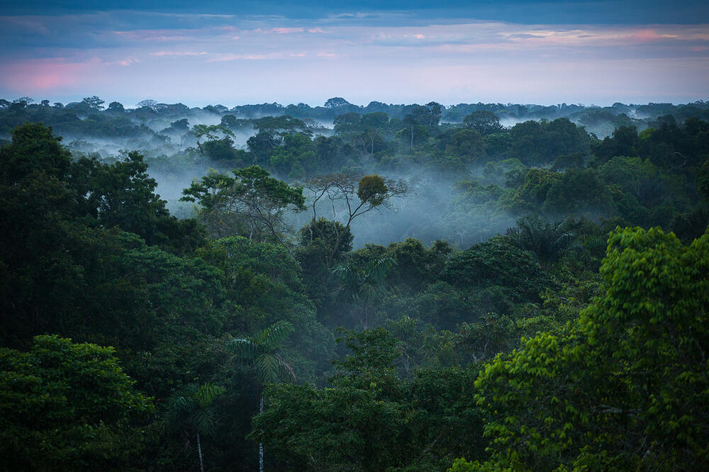 Amazonija, Foto: Flickr.com