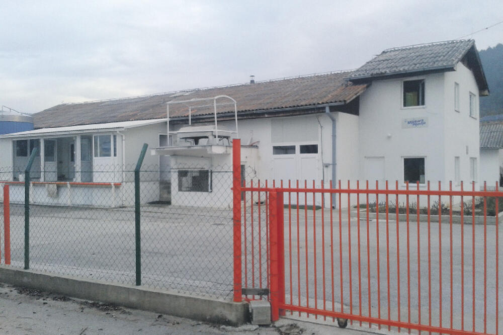 Pljevaljska mljekara, Foto: Goran Malidžan