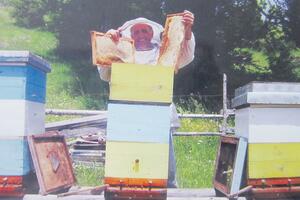 Čabarkapama je dom tamo gdje se pčele hrane