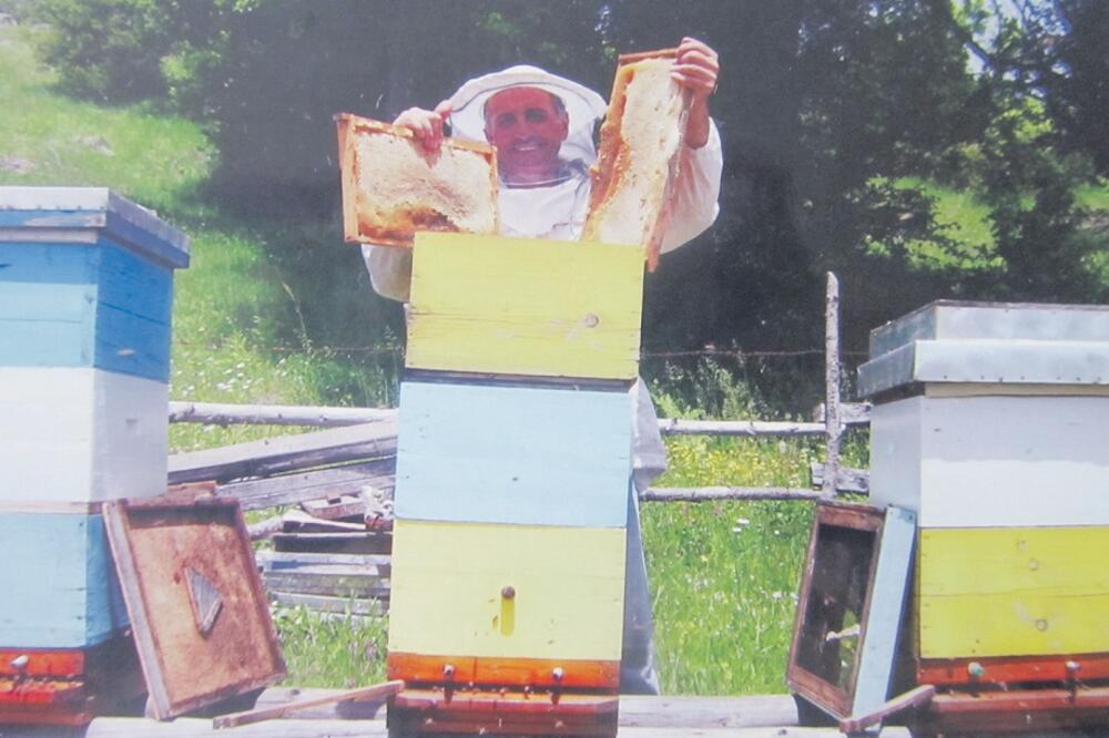 Čabarkapa, pčele, Foto: Privatna arhiva