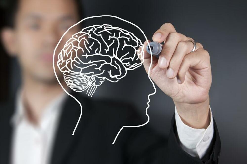 mozak, Foto: Shutterstock.com