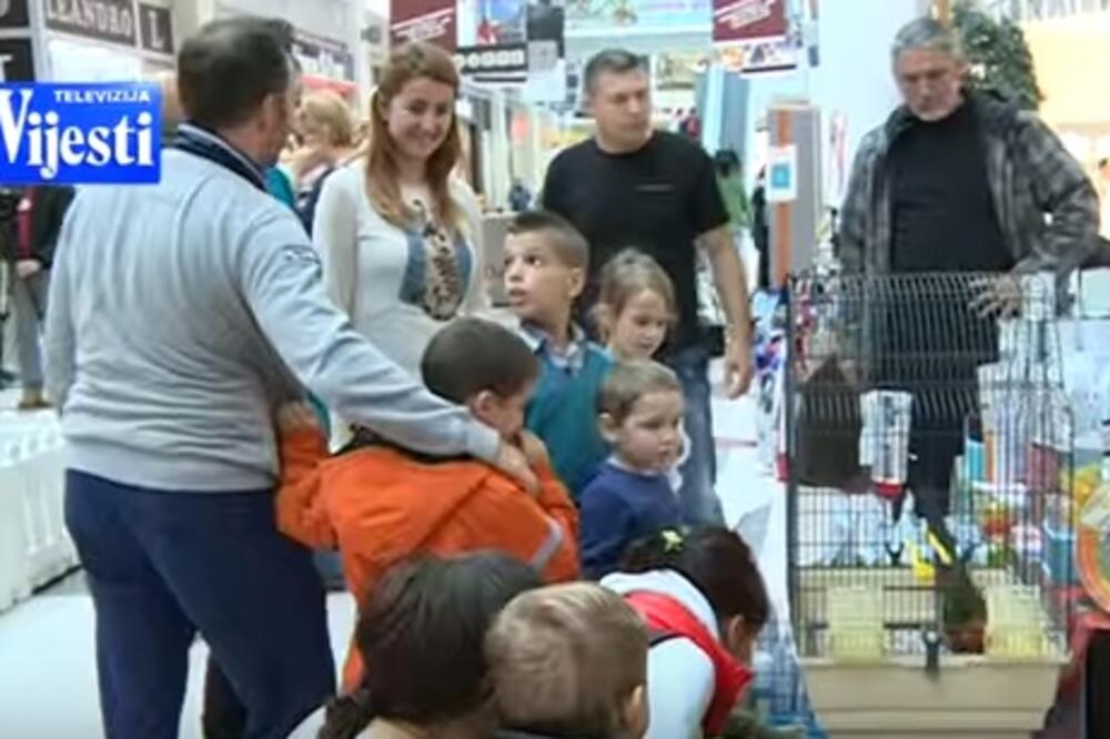 sajam životinje, Foto: Screenshot (YouTube)