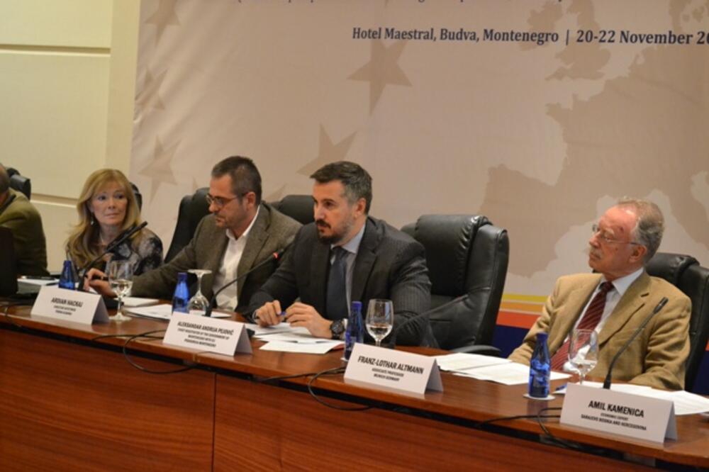 Aleksandar Andrija Pejović, Foto: MVPEI