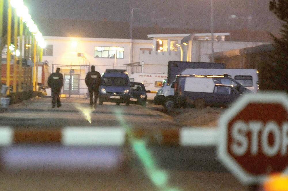 ZIKS, Foto: Vesko Belojević