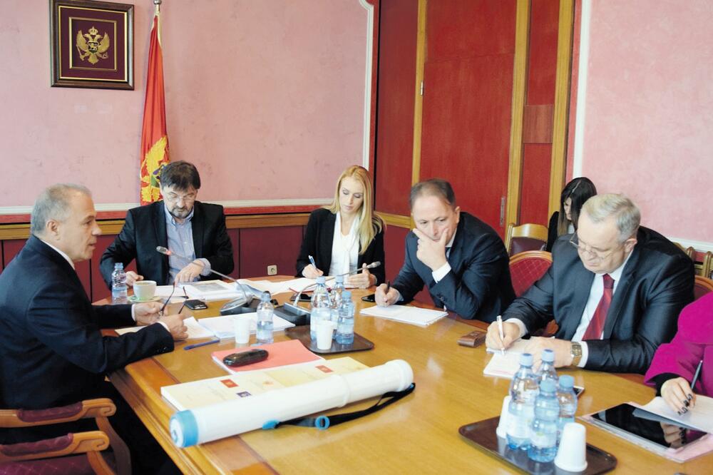 Odbor za međunarodne odnose, Foto: Boris Pejović