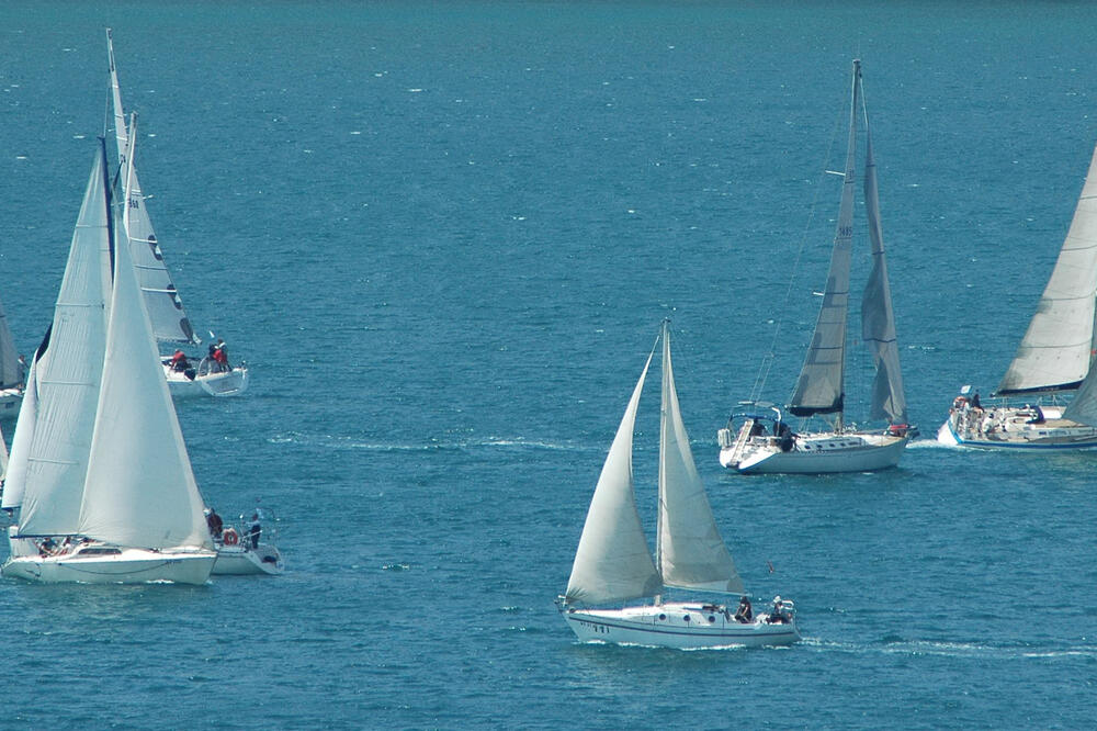 jedrilice, Foto: Slavica Kosić