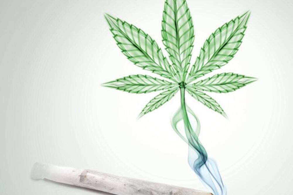 marihuana, Foto: Shutterstock