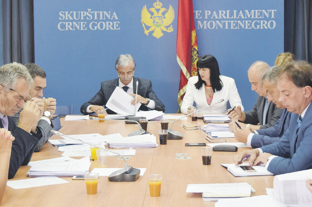 Zakonodavni odbor, Foto: Luka Zeković