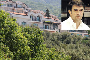 Damjanović na čelu Subotićevih firmi u Budvi