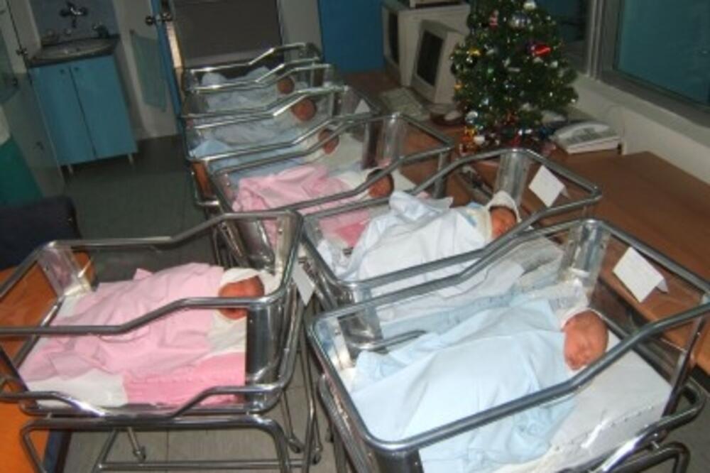 bebe_1, Foto: ARHIVA „VIJESTI”