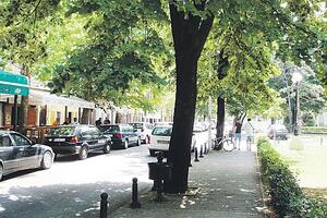 Proljeće je u novembru