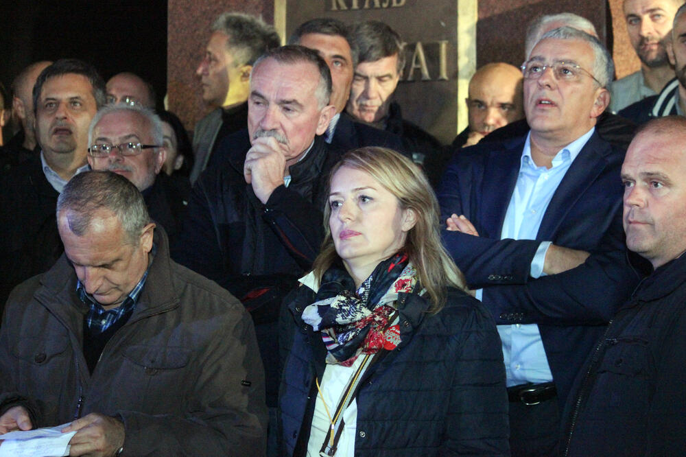 DF Protest, Branka Bošnjak, Andrija Mandić, Predrag Bulatović, Branko Radulović, Foto: Filip Roganović