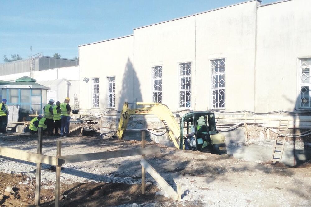 Mareza, Foto: Milica Đurović