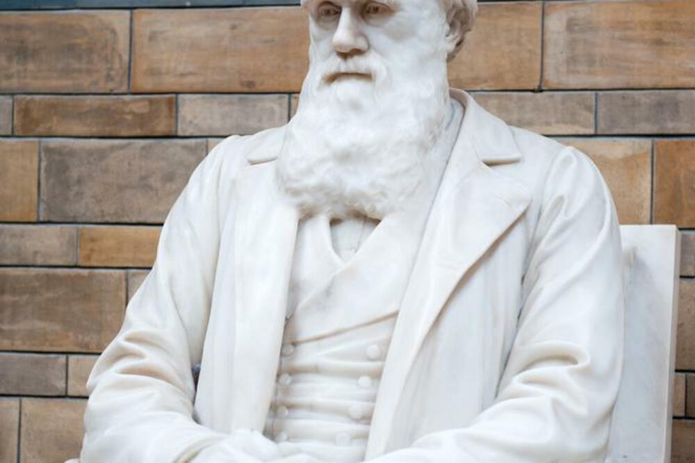 Čarls Darvin, Foto: Shutterstock.com
