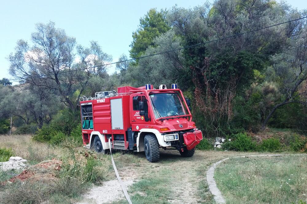 Požar Tivat, Foto: Siniša Luković