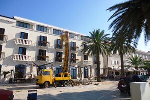 Tivat: Palmin surlaš iz Porto Montenegra uništava domicilne palme