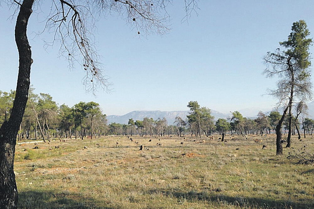 Ćemovsko polje, Foto: Damira Kalač