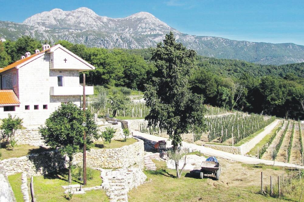 Savinska dubrava, Foto: Slavica Kosić