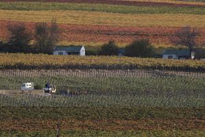 SAD ukidaju trgovinske povlastice JAR