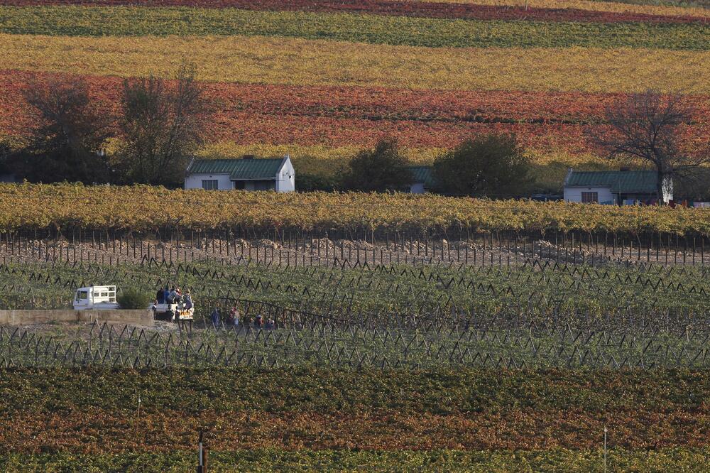 južna afrika, Foto: Reuters