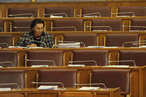 Kalezić na sjednici Odbora za ekonomiju