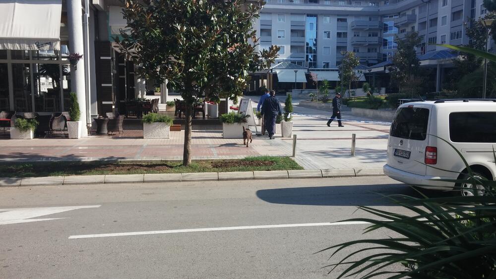 bomba, Trg magnolija