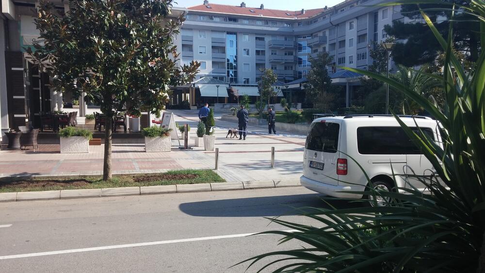 bomba, Trg magnolija