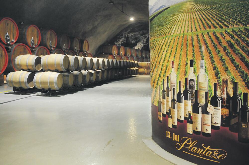 Plantaže, Foto: Luka Zeković