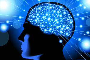 Američki naučnici: Ljudski mozak nema pol