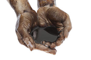 AI: Tvrdnje o čišćenju izlivene nafte u Nigeriji lažne