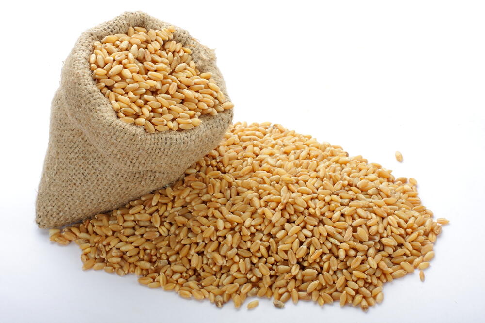 žito, Foto: Shutterstock.com