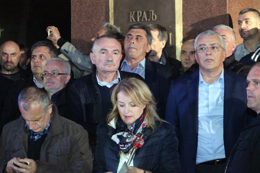 DF Protest, Andrija Mandić, Branko Radulović, Branka Bošnjak, Foto: Filip Roganović