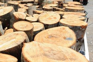 Podgorica: Više od pola domaćinstava grije se na drva