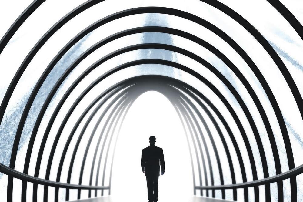 kolumna Mila Kasalica (novina)