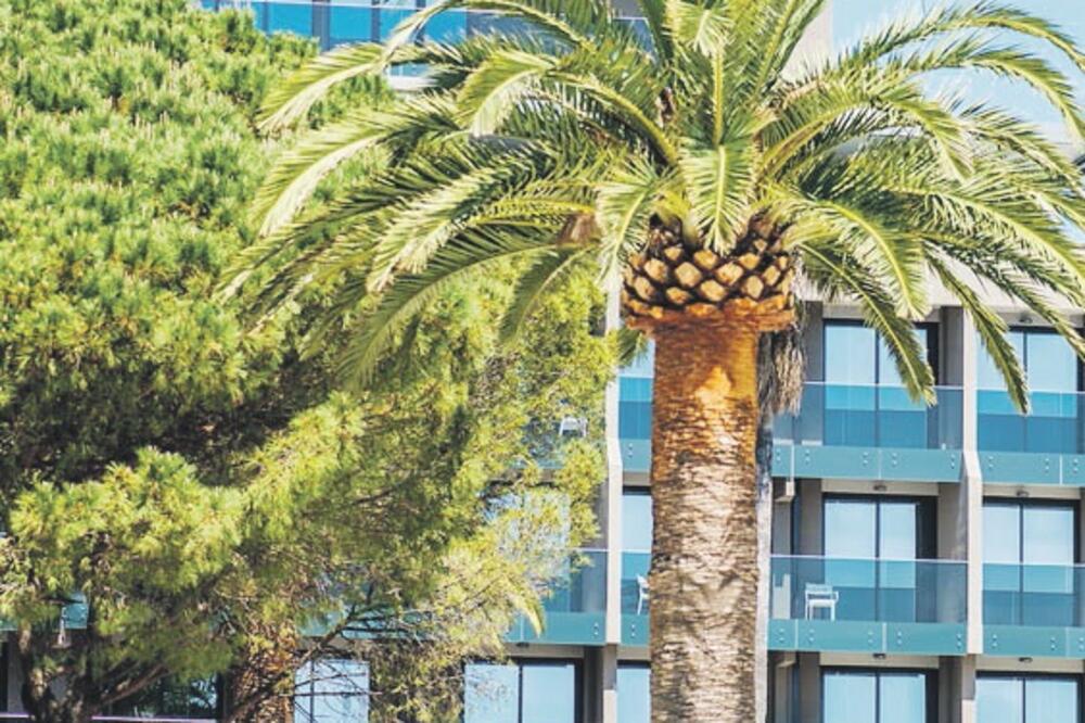 Palmon bay, Foto: Palmonbayspa.com