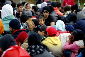 Crveni krst: Za pomoć migrantima uplaćeno 1.609 eura